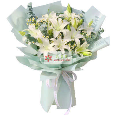 徐州6支白色多头百合，温馨的祝福